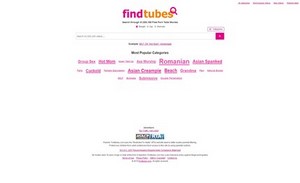 screenshot at findtubes porn search engines